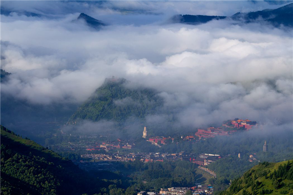 五台山那山那寺那花——望海寺邀您感受仙境